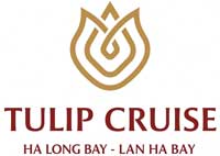 Tulip Logo